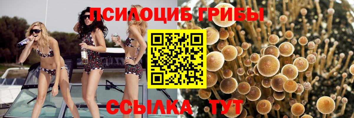 АМФЕТАМИН Кохма